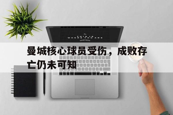 包含曼城核心球员受伤，成败存亡仍未可知的词条