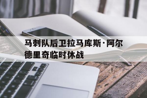马刺队后卫拉马库斯·阿尔德里奇临时休战的简单介绍